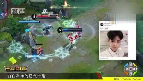 王者妹子爆料视频大全集,揭秘游戏圈幕后故事